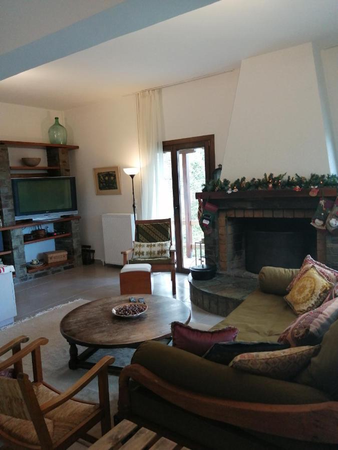차가라다 Delux House In Tsangarada 빌라 외부 사진